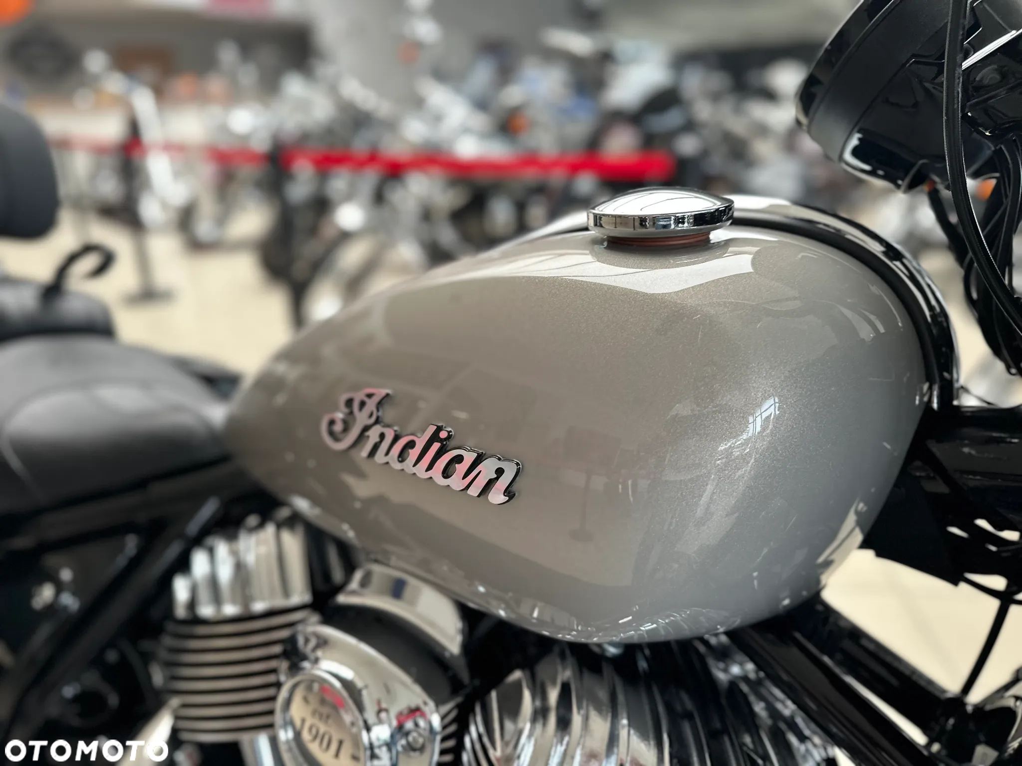 Indian Chief - 14