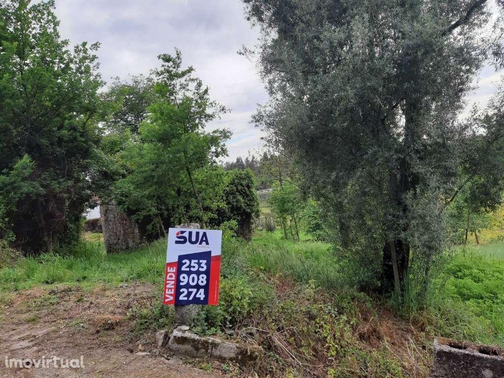 Terreno c/ Viabilidade de Construção - Fiscal - Grande imagem: 2/9