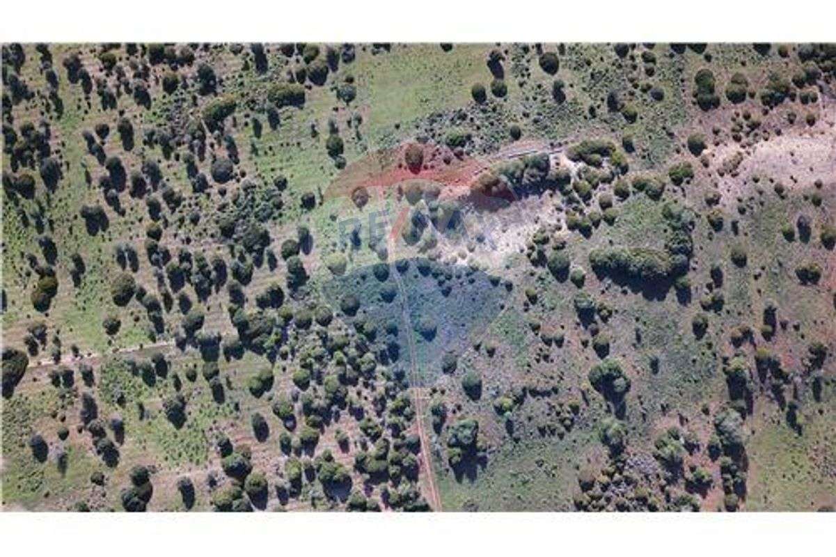 Fantático Terreno com viabilidade de construção - Grande imagem: 2/13