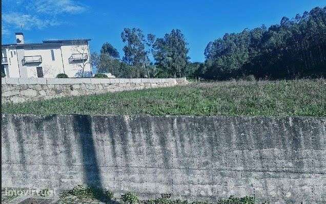 Terreno para venda Reguenga Sto.Tirso - Grande imagem: 3/3