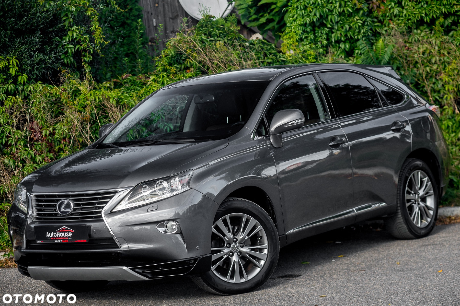 Lexus RX 450h (hybrid) Executive Line - 5