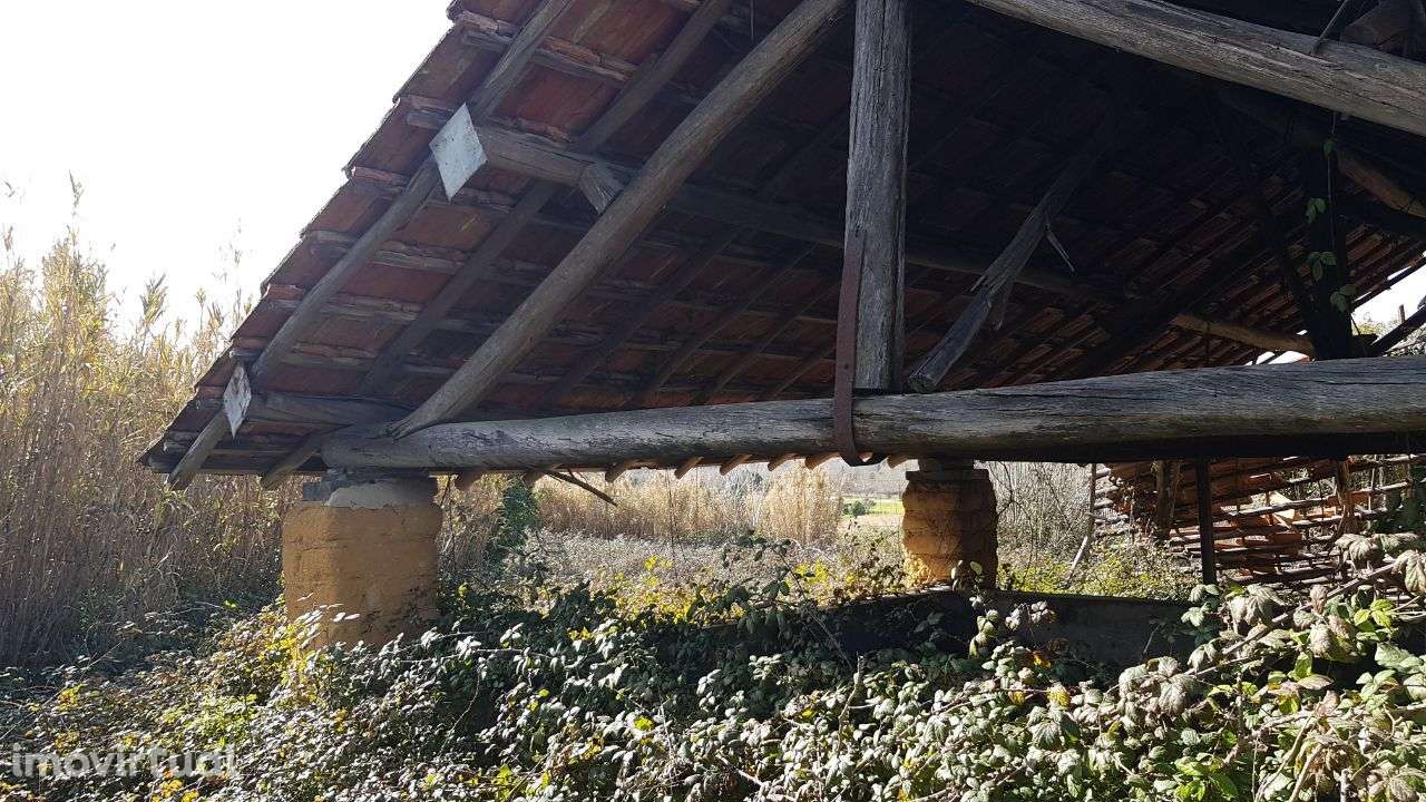 Quinta na Bairrada - Grande imagem: 4/22