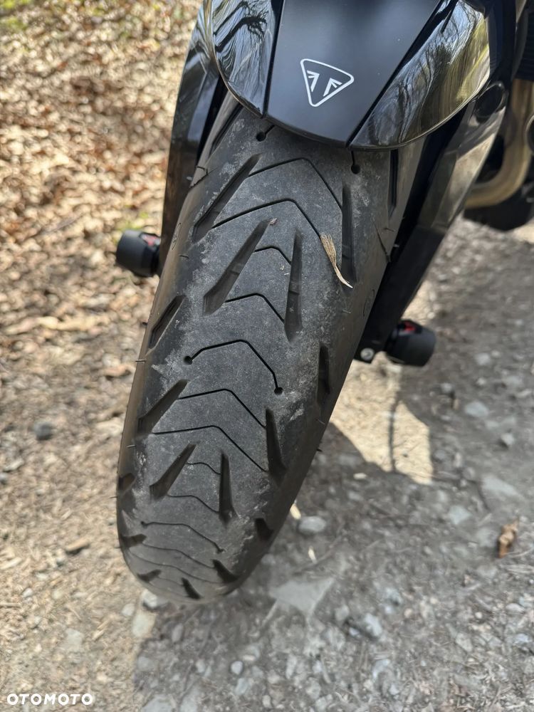 Triumph Tiger - 10