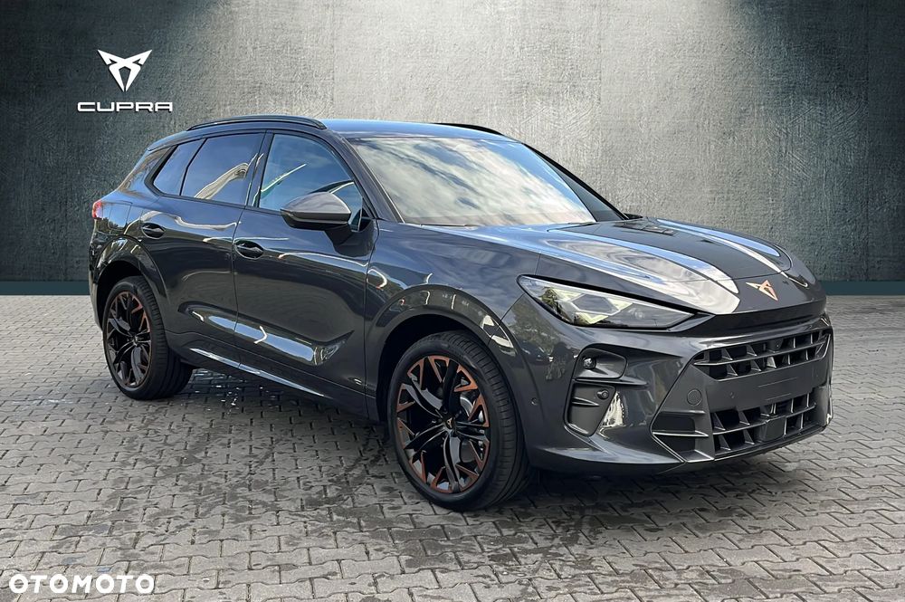 Cupra Terramar 2.0 TSI 4Drive DSG - 8