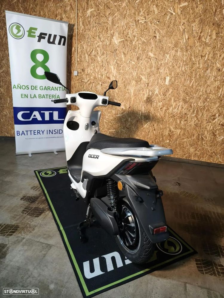 Efun Deer - 6