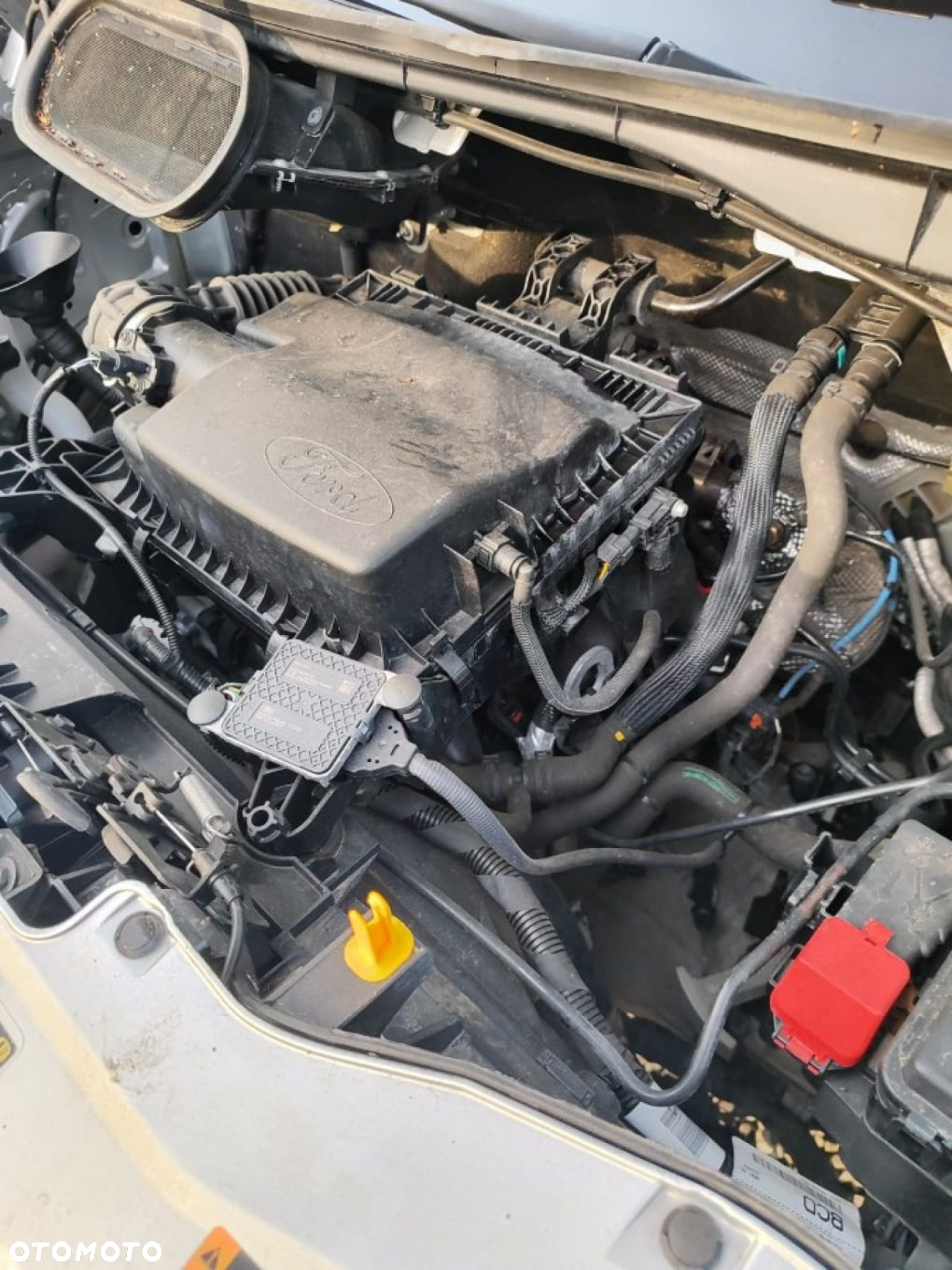 Ford Transit - 23