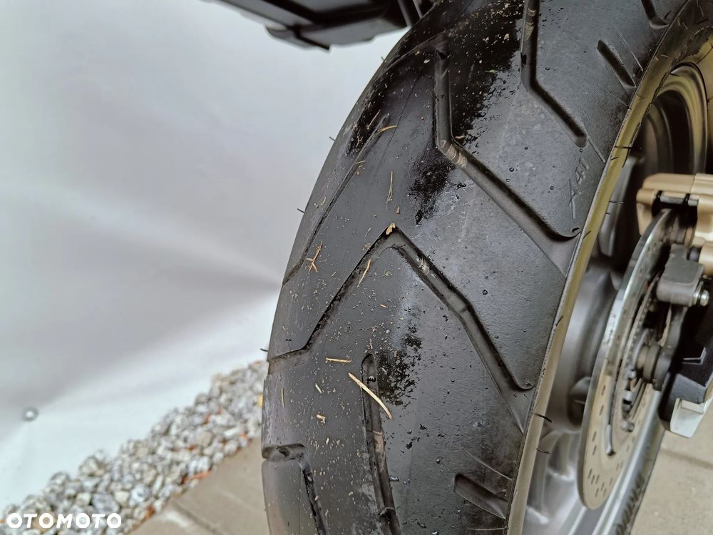 Triumph Tiger - 19