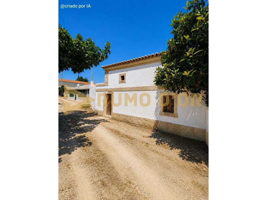 Casa Senhorial para Recuperar em Subserra - São João dos Montes - Grande imagem: 2/22