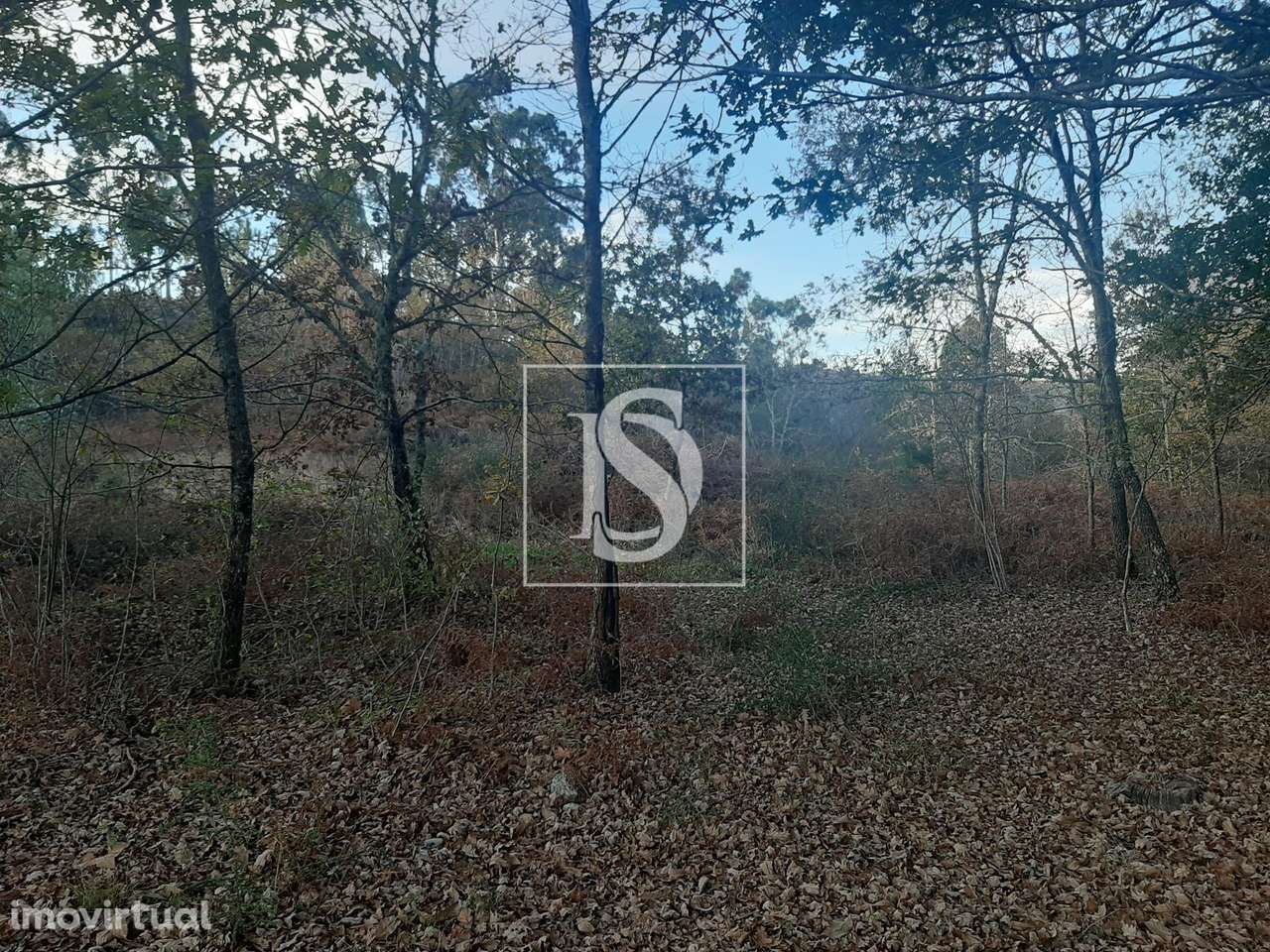 Terreno  Venda em Vieira do Minho,Vieira do Minho - Grande imagem: 4/15