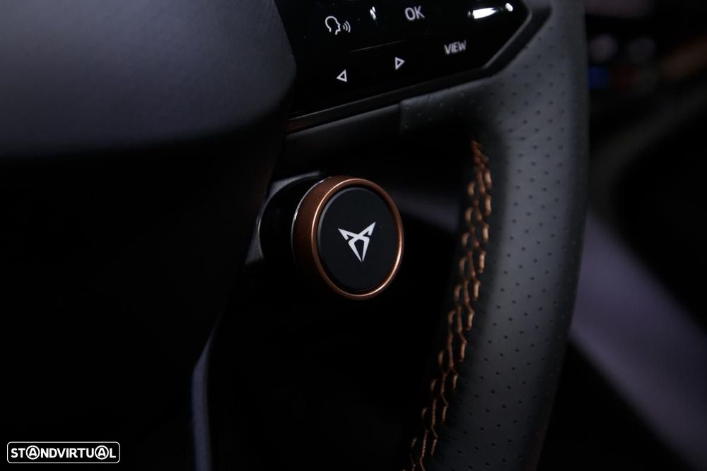 Cupra Tavascan 210 kW/77kWh HA Endurance - 21