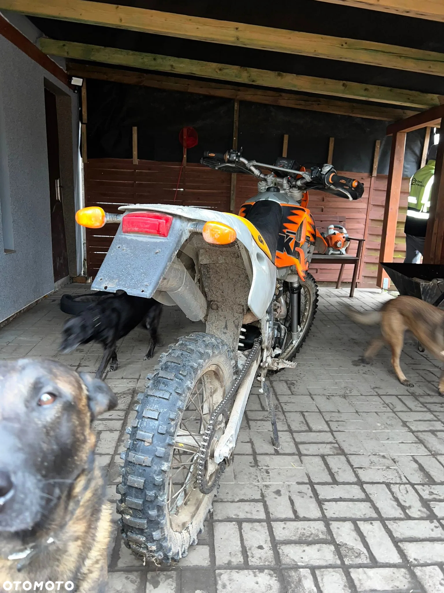 KTM SX - 4
