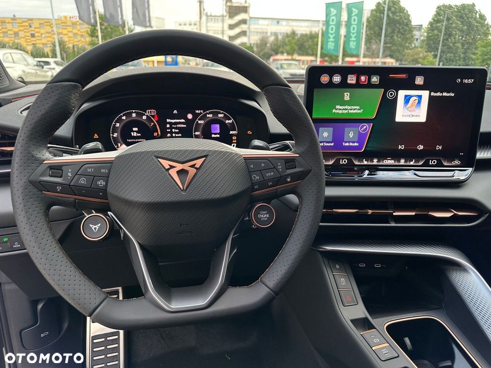 Cupra Terramar 2.0 TSI 4Drive DSG - 25