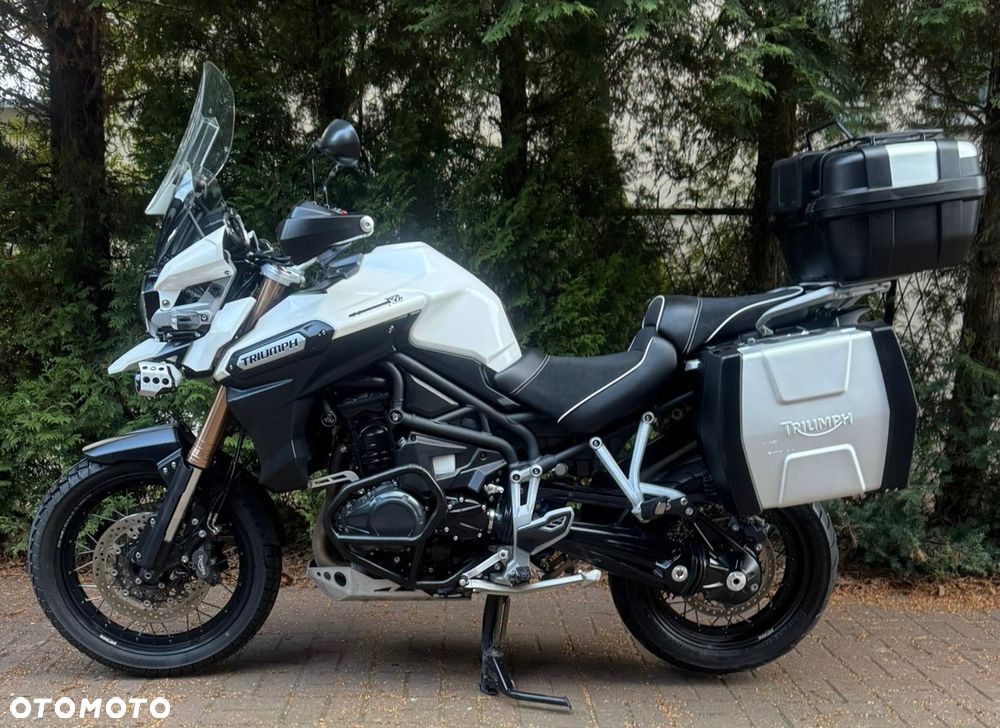 Triumph Tiger - 10