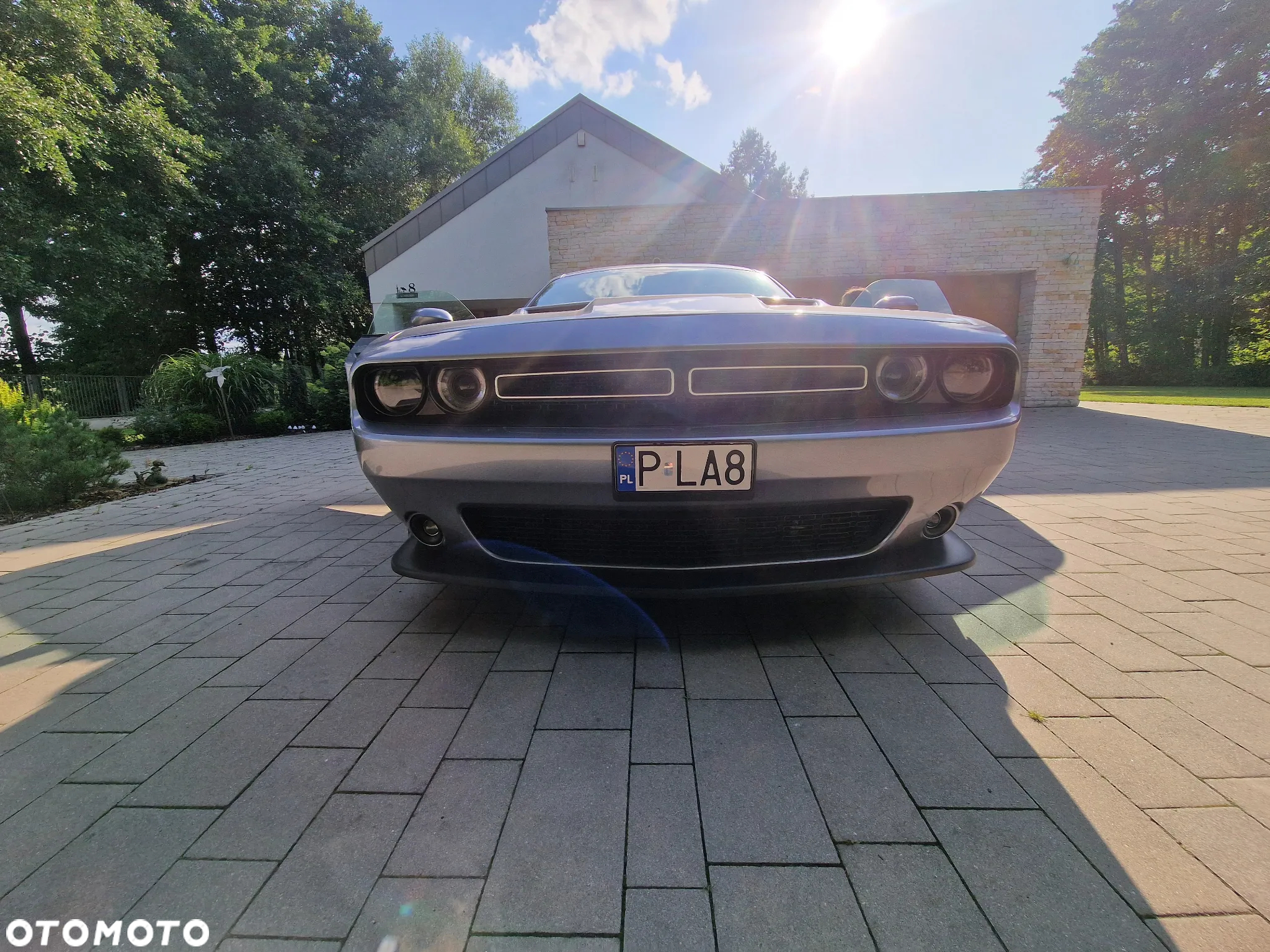 Dodge Challenger - 13