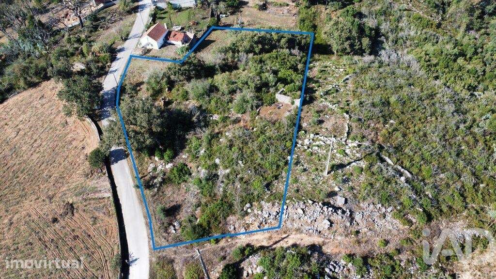 Terreno Agrícola em Santiago da Guarda - Grande imagem: 4/14