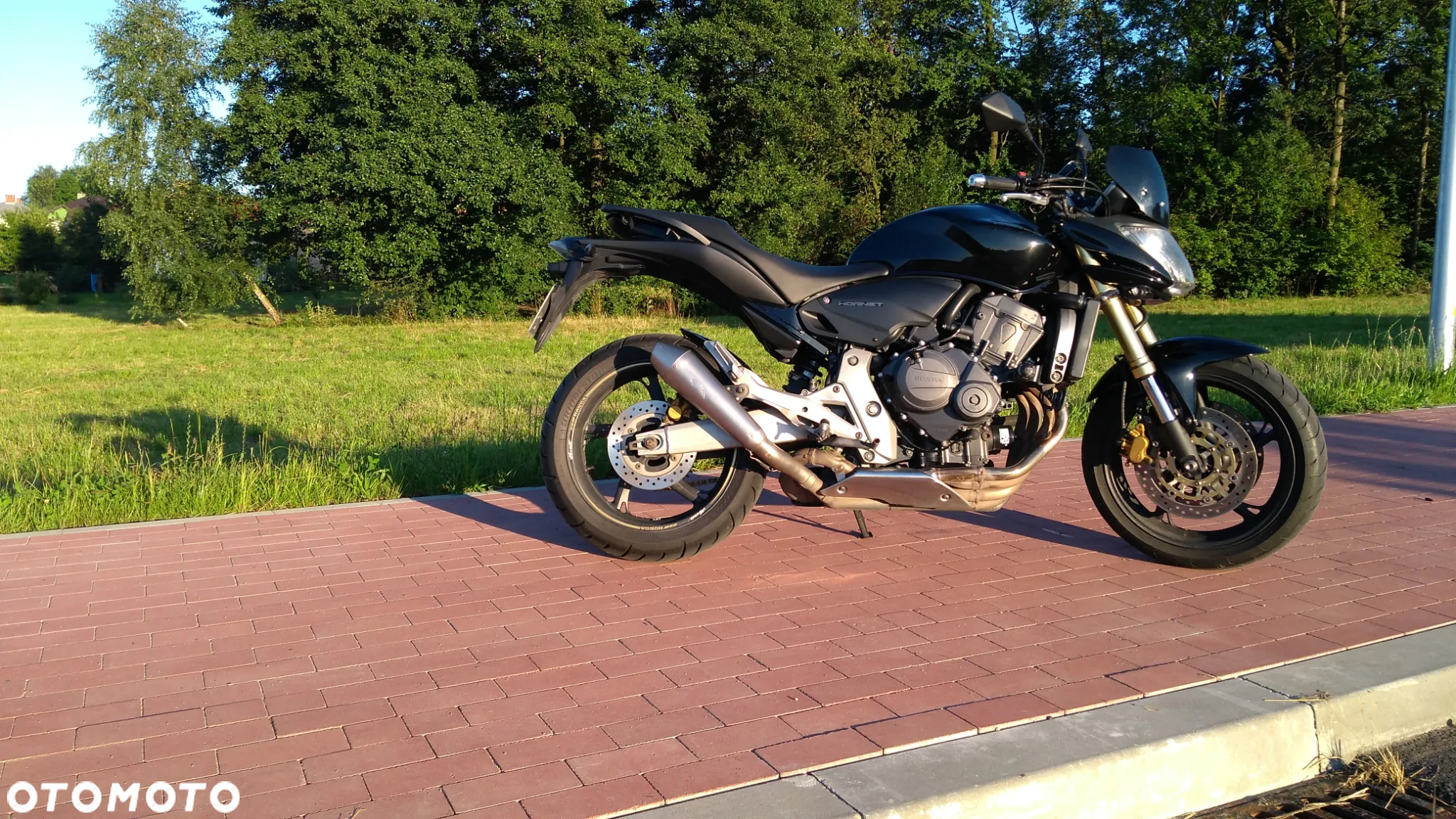 Honda Hornet - 2
