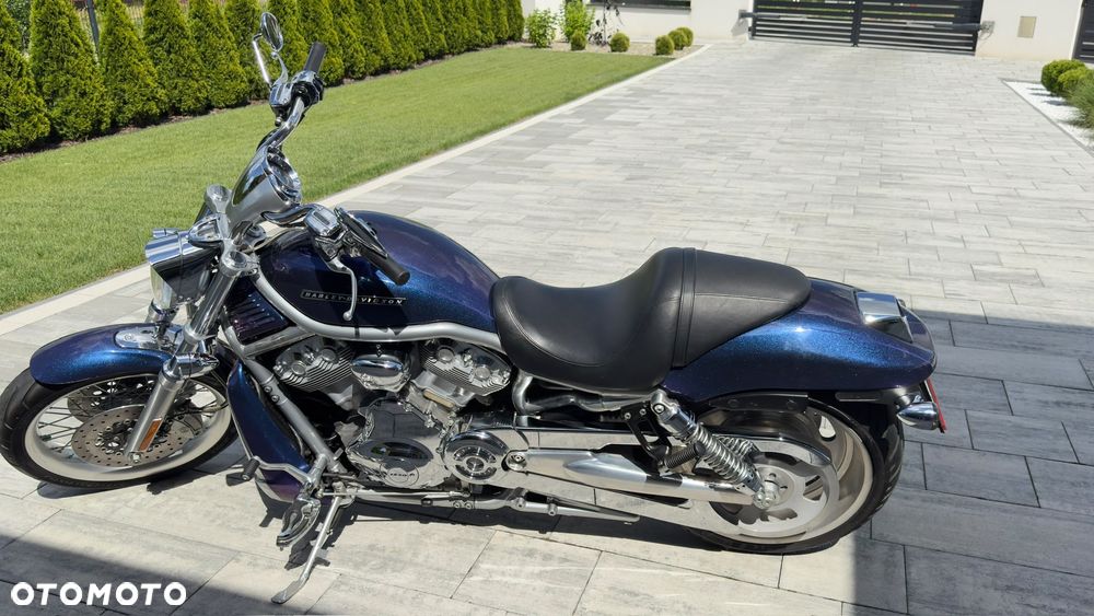 Harley-Davidson V-Rod Street Rod - 2