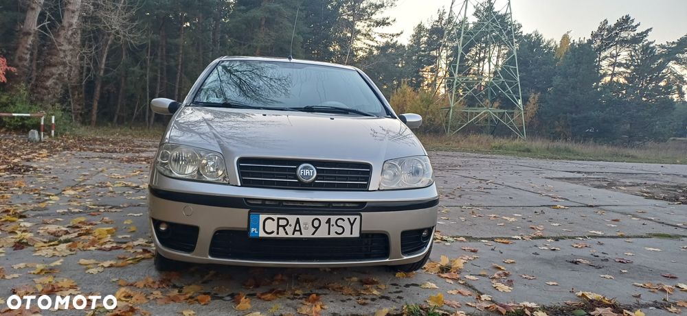 Fiat Punto - 33