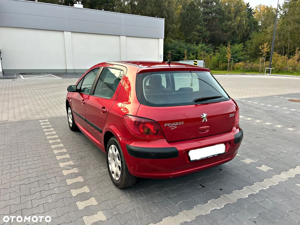 Peugeot 307 1.6 Premium - 6