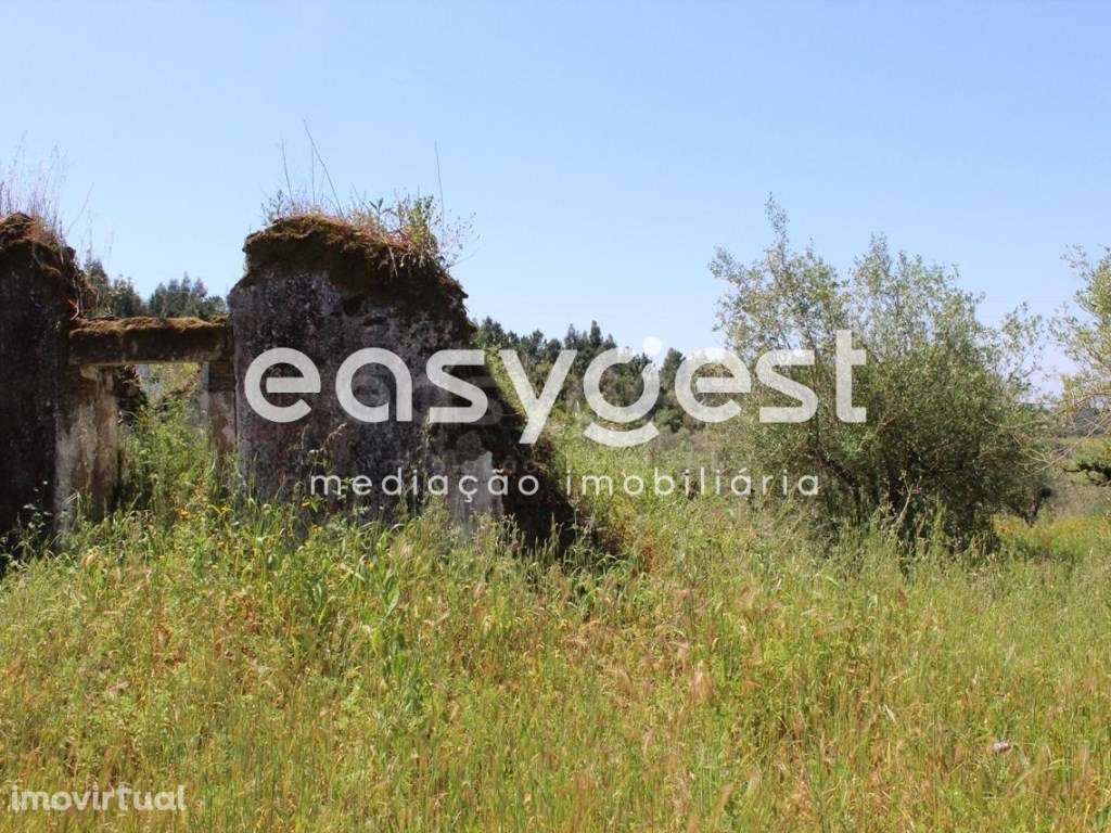 Terreno Rústico com construção em ruina junto a praia fluvial - Grande imagem: 5/8