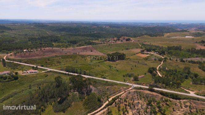 Monte com 6 Hectares e Projeto de Ampliação em São Teotónio - Grande imagem: 4/4