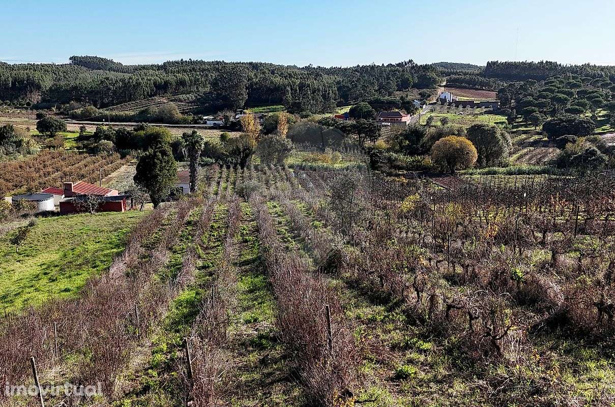 Terreno  para venda - Grande imagem: 5/8