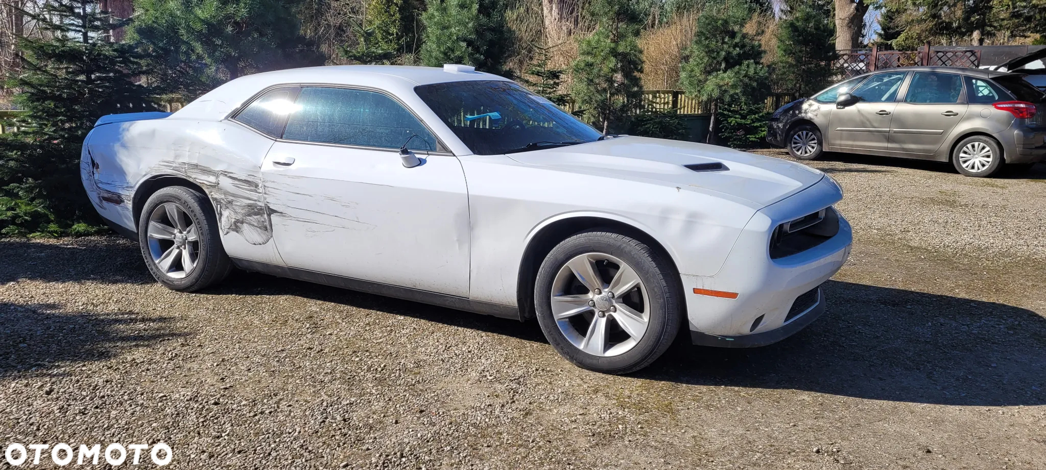 Dodge Challenger - 29