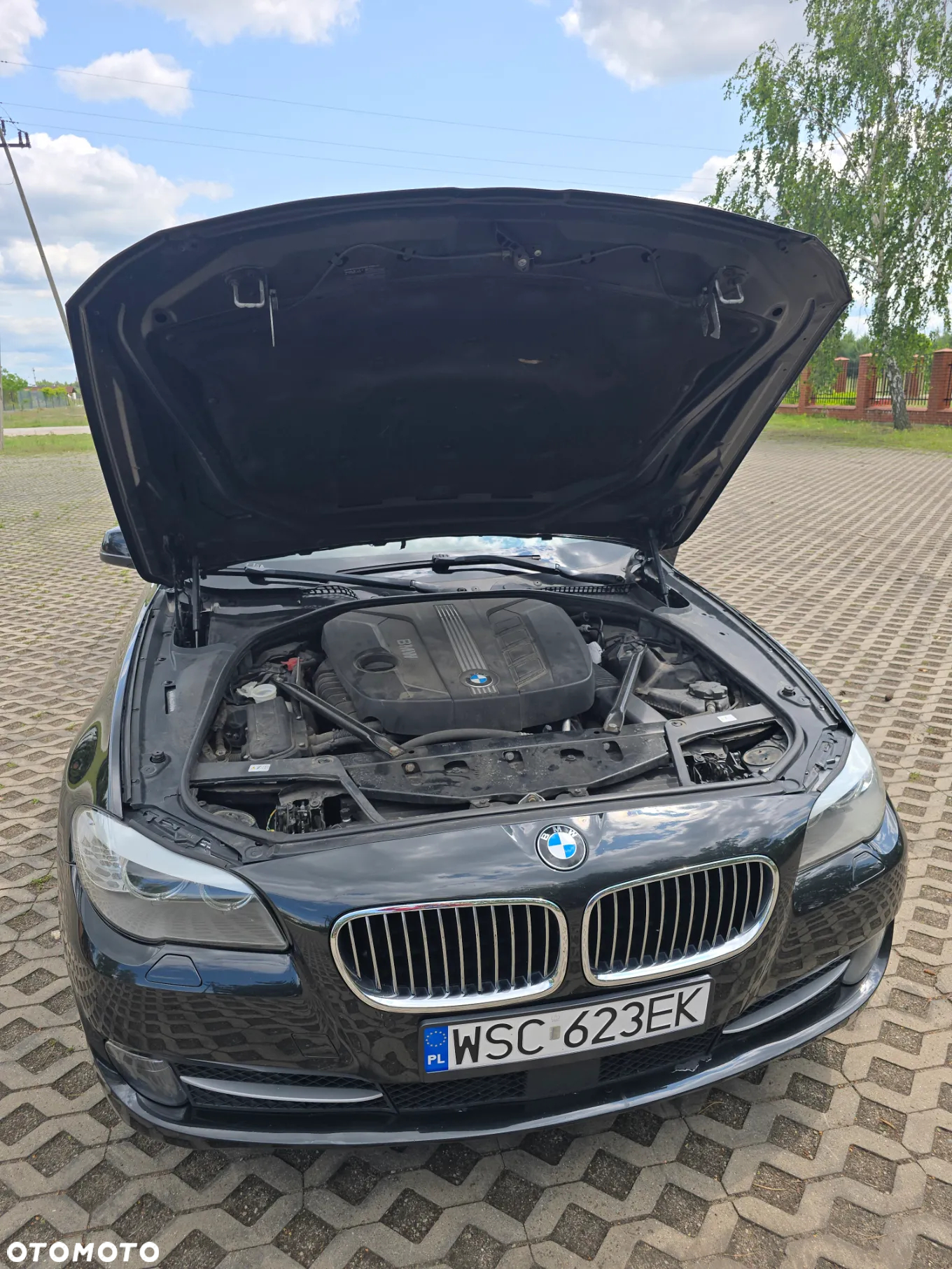 BMW Seria 5 520d - 22