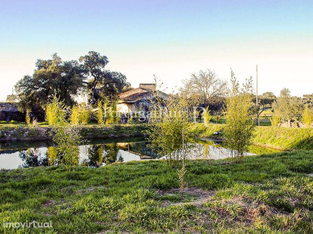 Quinta com cerca de 49.350 m2 - Grande imagem: 5/39