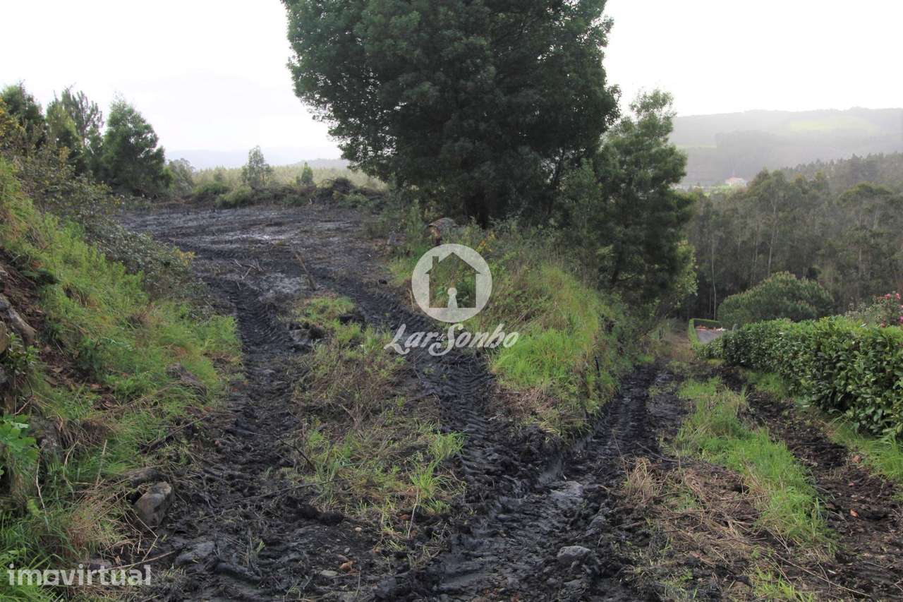 Terreno agrícola com 8.397m2 em Vilarinho das Cambas - Grande imagem: 4/8