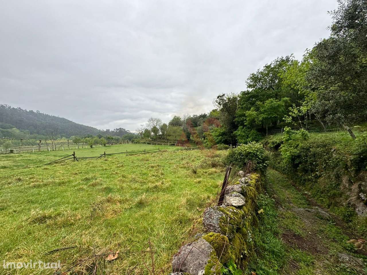 Terreno Rústico em Vieira do Minho – Natureza e Agricultura! - Grande imagem: 3/10
