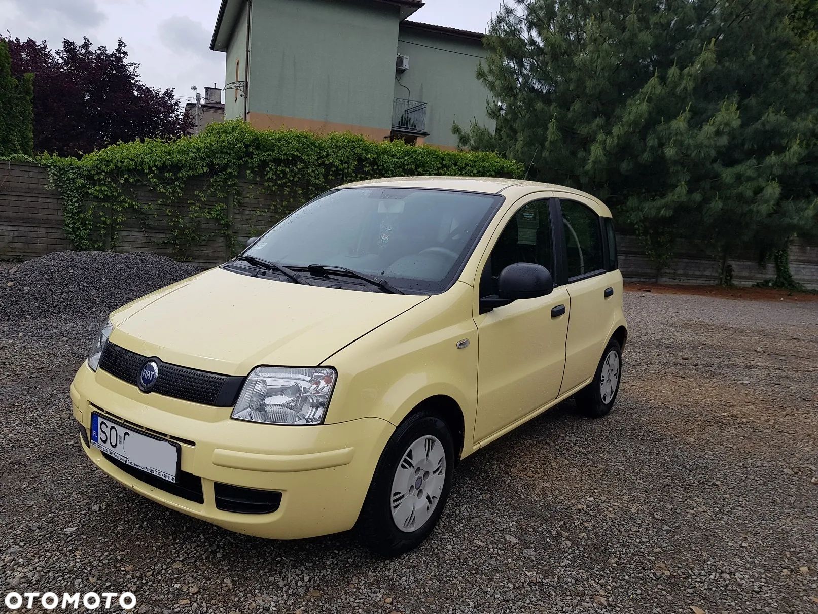 Fiat Panda - 1