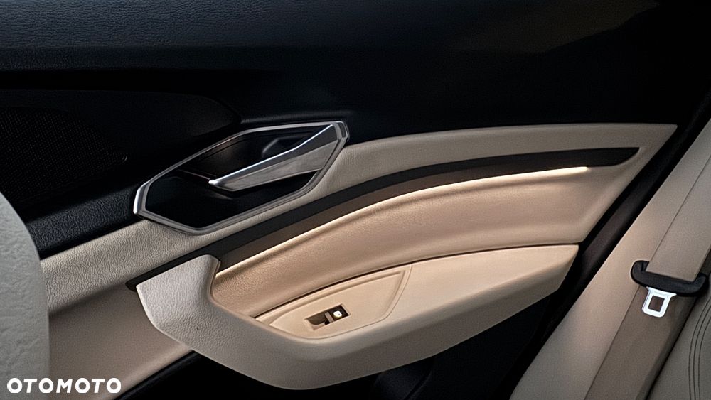 Audi e-tron 50 Quattro - 19