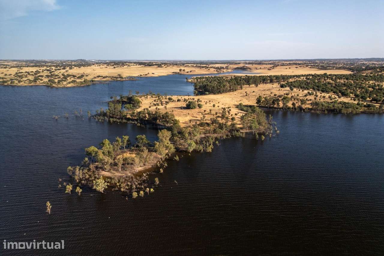 Propriedade  com 15.3ha, junto à barragem do Monte da Rocha - Ourique - Grande imagem: 5/15