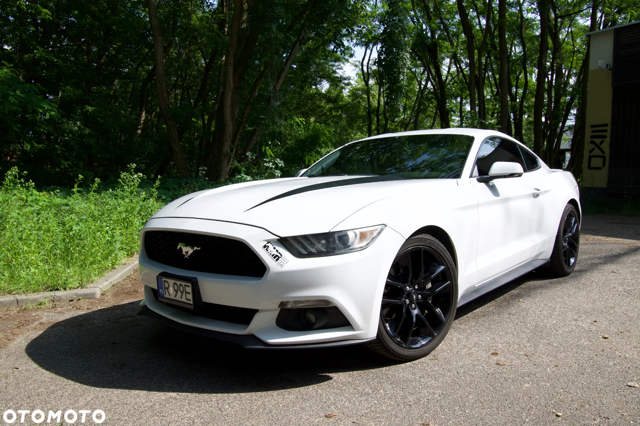 Ford Mustang 2.3 Eco Boost - 10