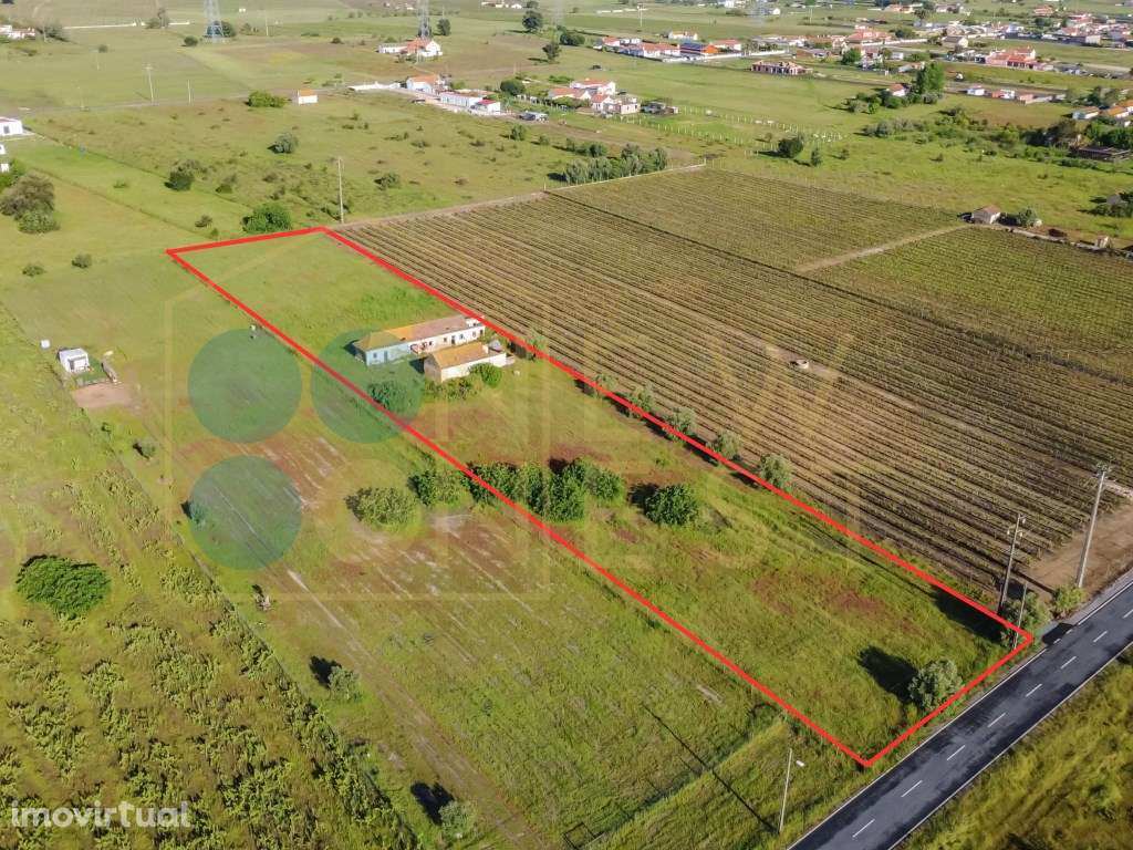 Quintinha com 6.688m ² e ruína para reconstrução | Arraiados, Pinha... - Grande imagem: 3/19