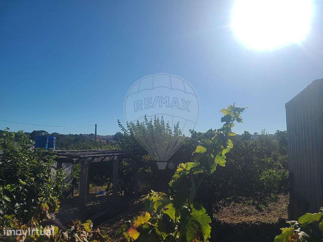 Terreno  para venda - Grande imagem: 5/10