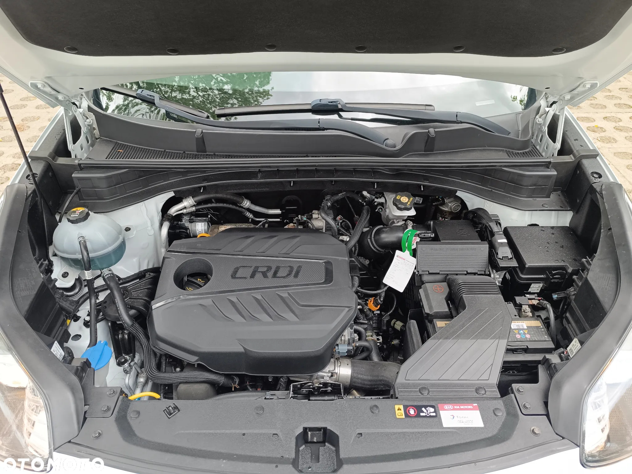 Kia Sportage 1.6 CRDI Black Edition Plus 2WD - 39