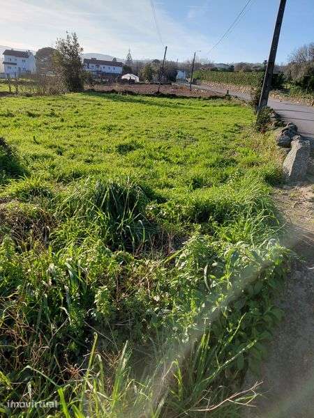 Terreno em São Pedro Alvito
