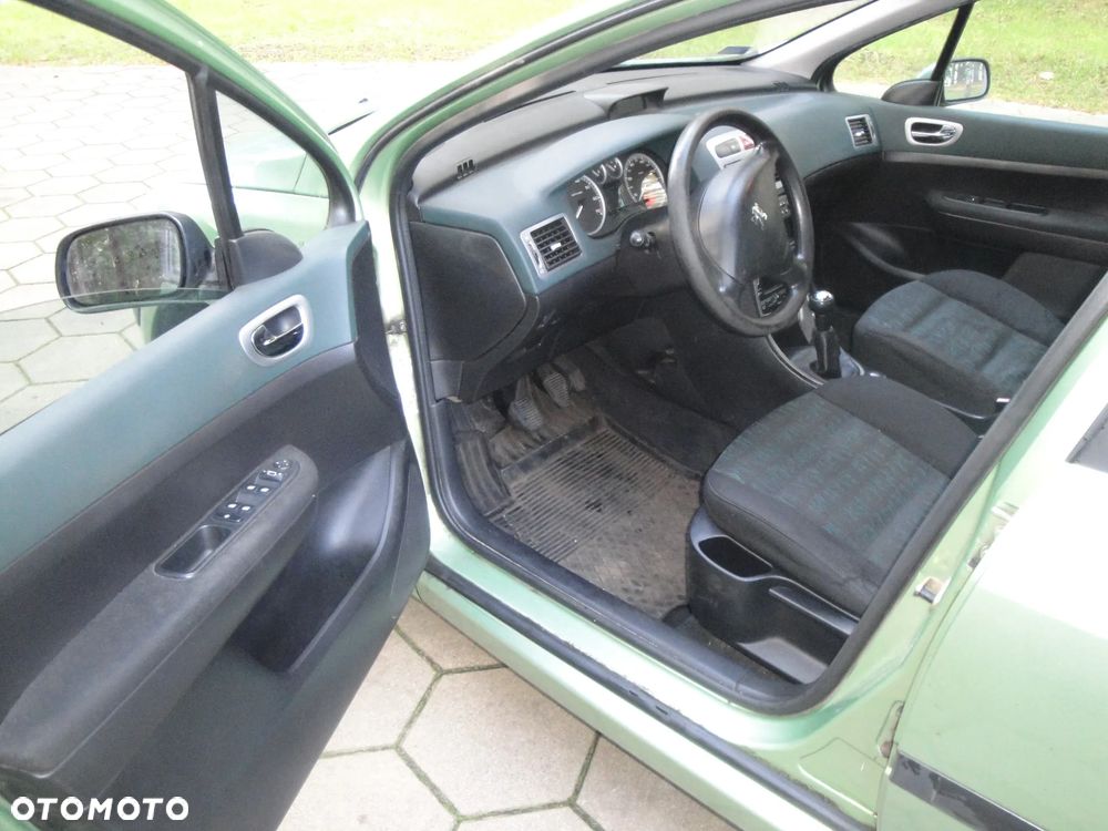 Peugeot 307 1.6 XS Class - 9