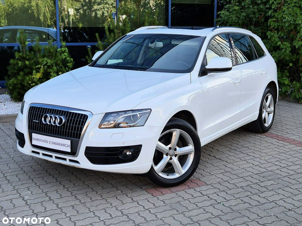 Audi Q5 - 2