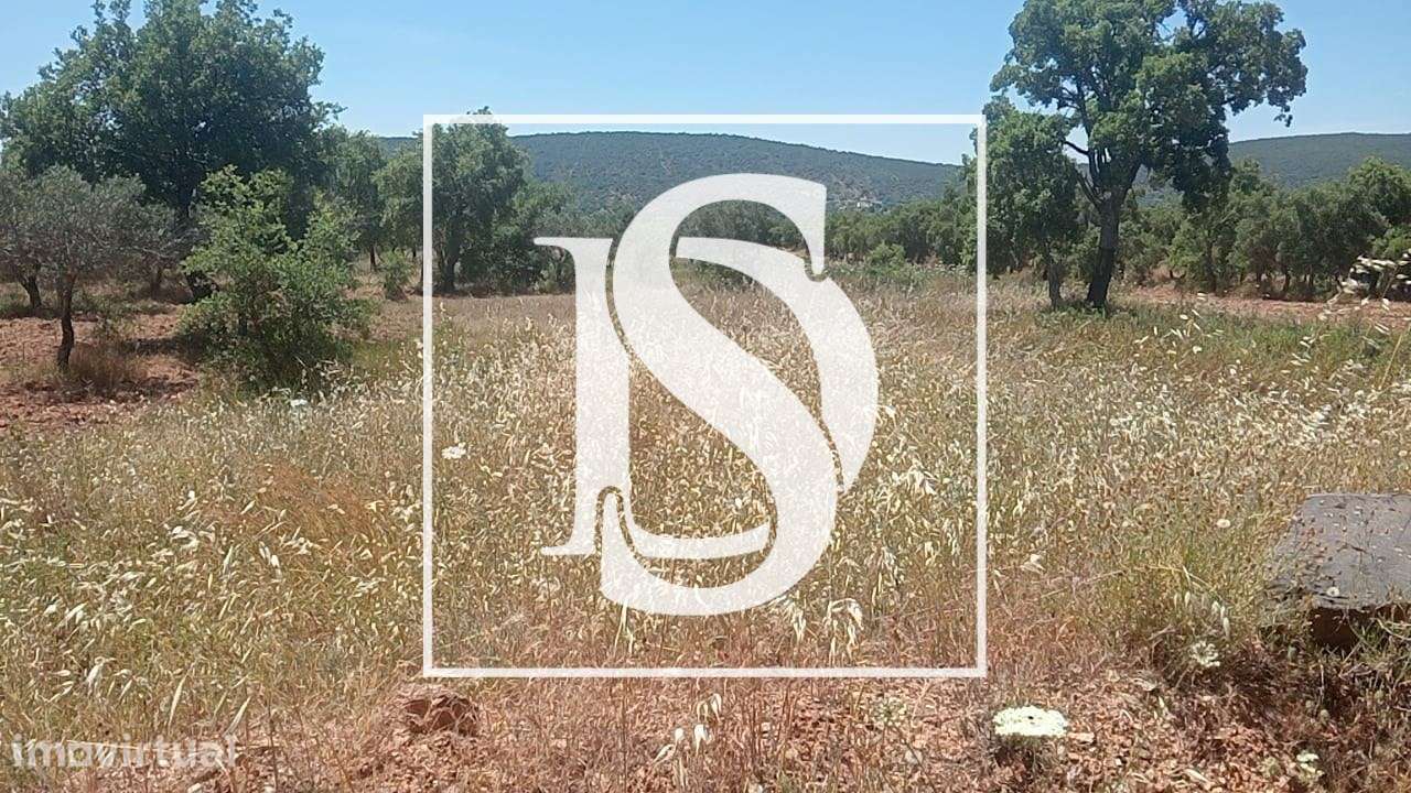 Terreno Rústico  Venda em Salir,Loulé - Grande imagem: 2/4