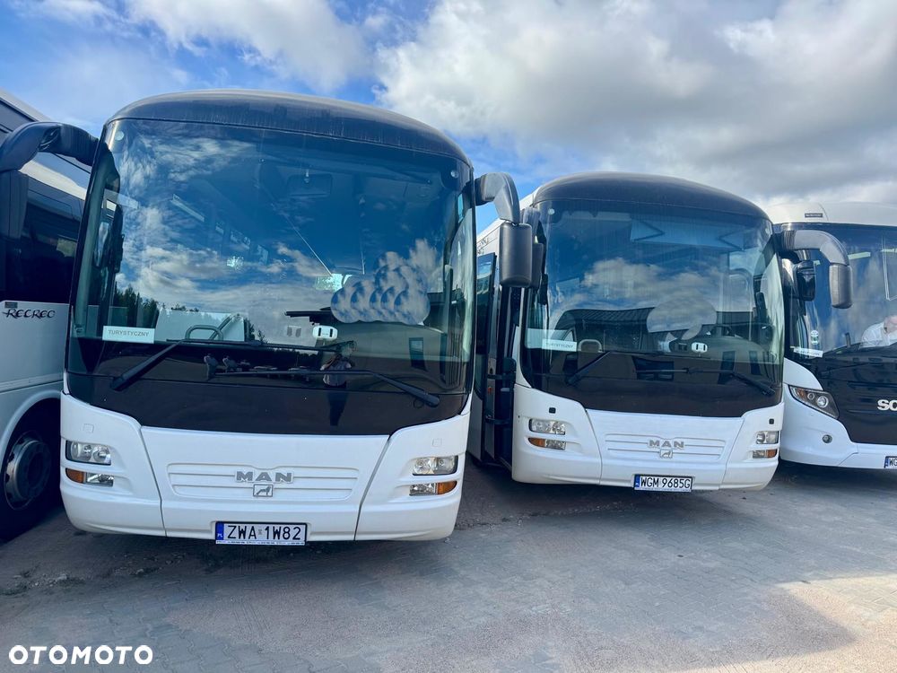 MAN LIONS REGIO - 16