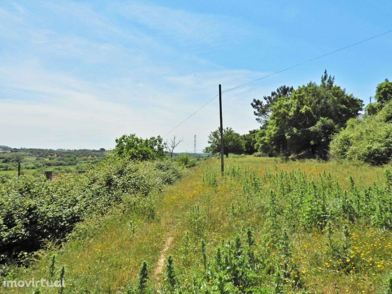 Quintinha com 44.020 m2 de terreno - Grande imagem: 5/20