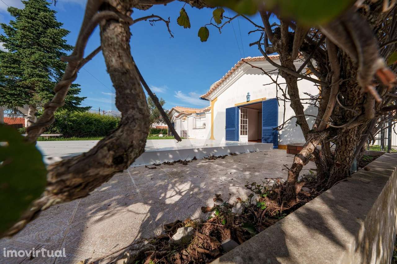 Moradia T2 isolada com piscina e jardim|  Fátima - Grande imagem: 4/28