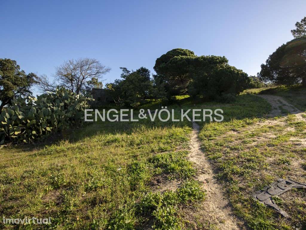 Terreno Agrícola com parcela destacada para construção - Grande imagem: 2/25
