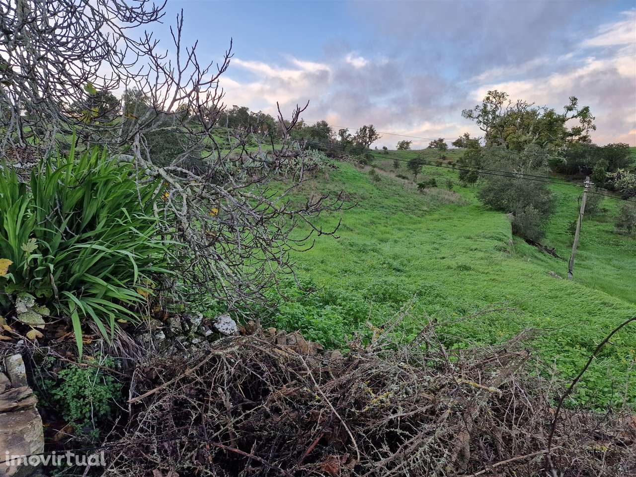 Terreno Rústico  Venda em Santa Cruz,Almodôvar - Grande imagem: 4/5