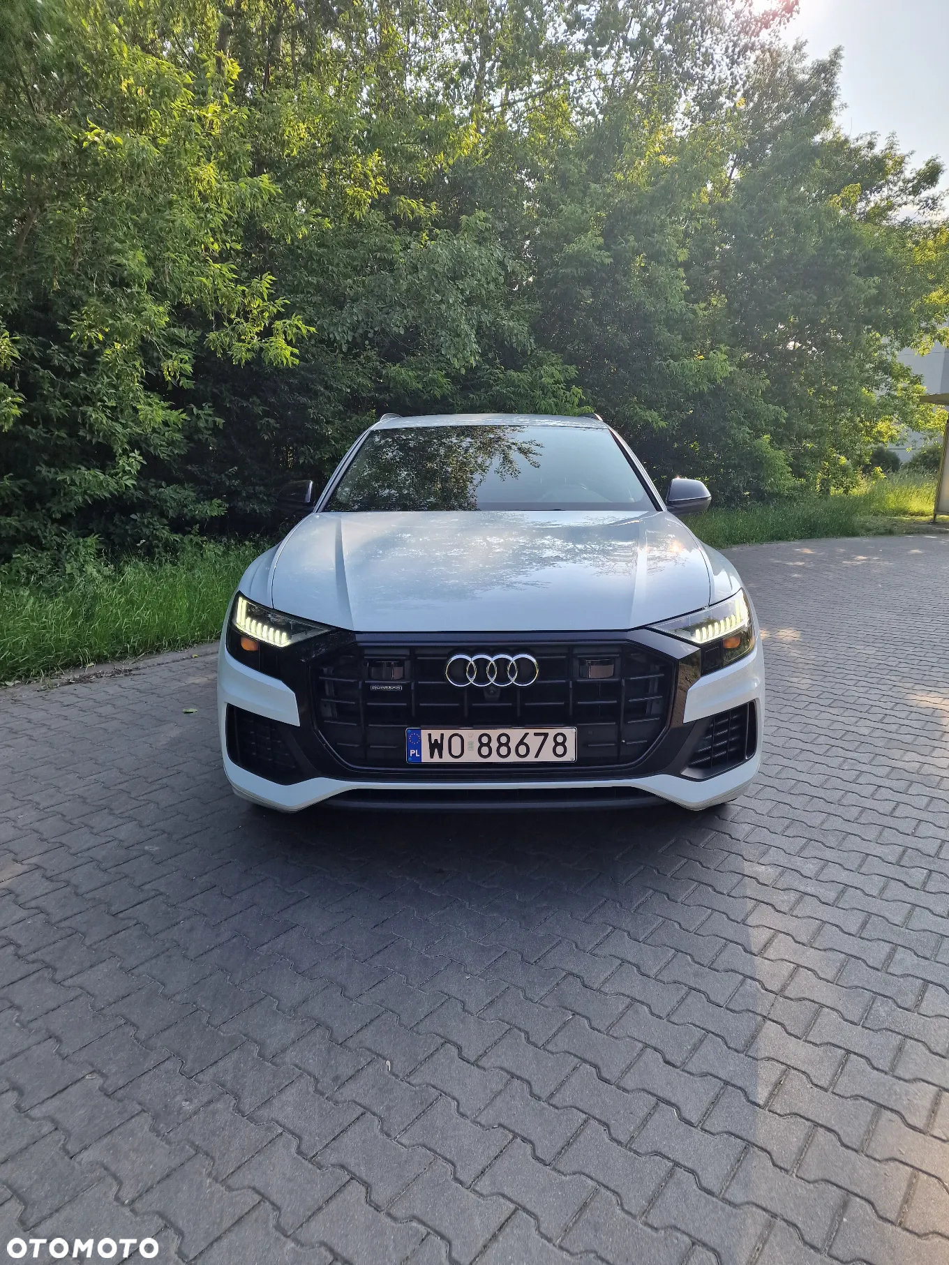Audi Q8 - 33