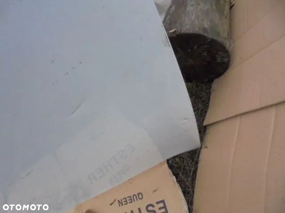 RENAULT MEGANE 2 MASKA - 2