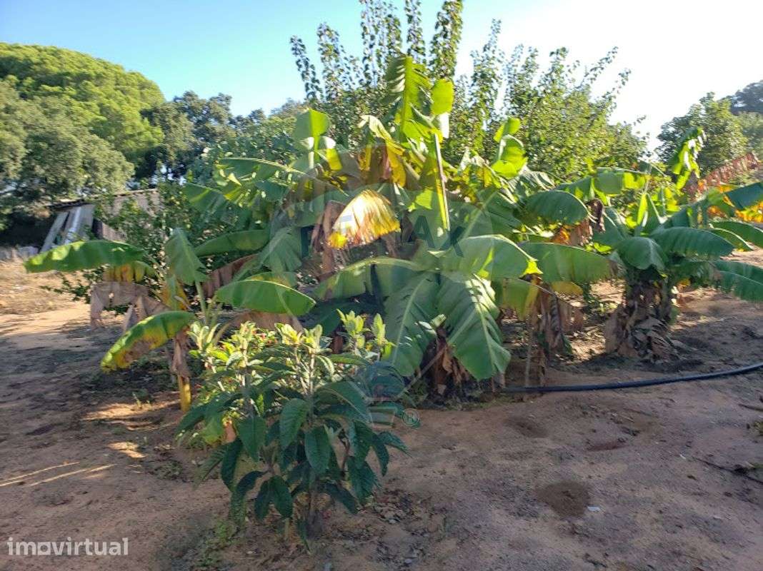 Terreno  para venda - Grande imagem: 5/7